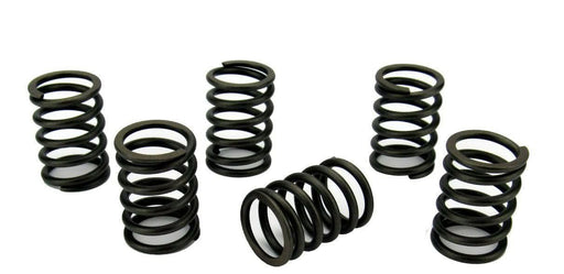 Volvo Penta MD2040 Valve Springs - parts4engines.com