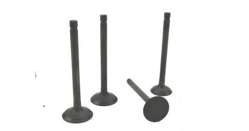 Perkins 100 series Valve set - parts4engines.com