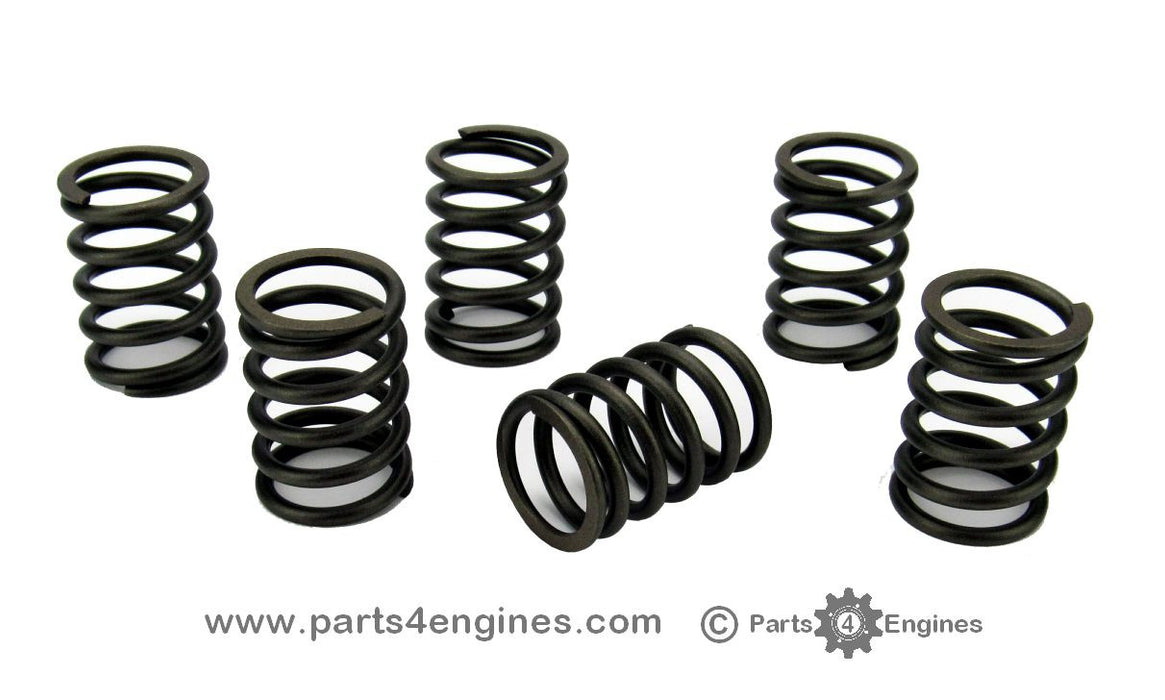 Perkins Perama M25 valve springs set - parts4engines.com