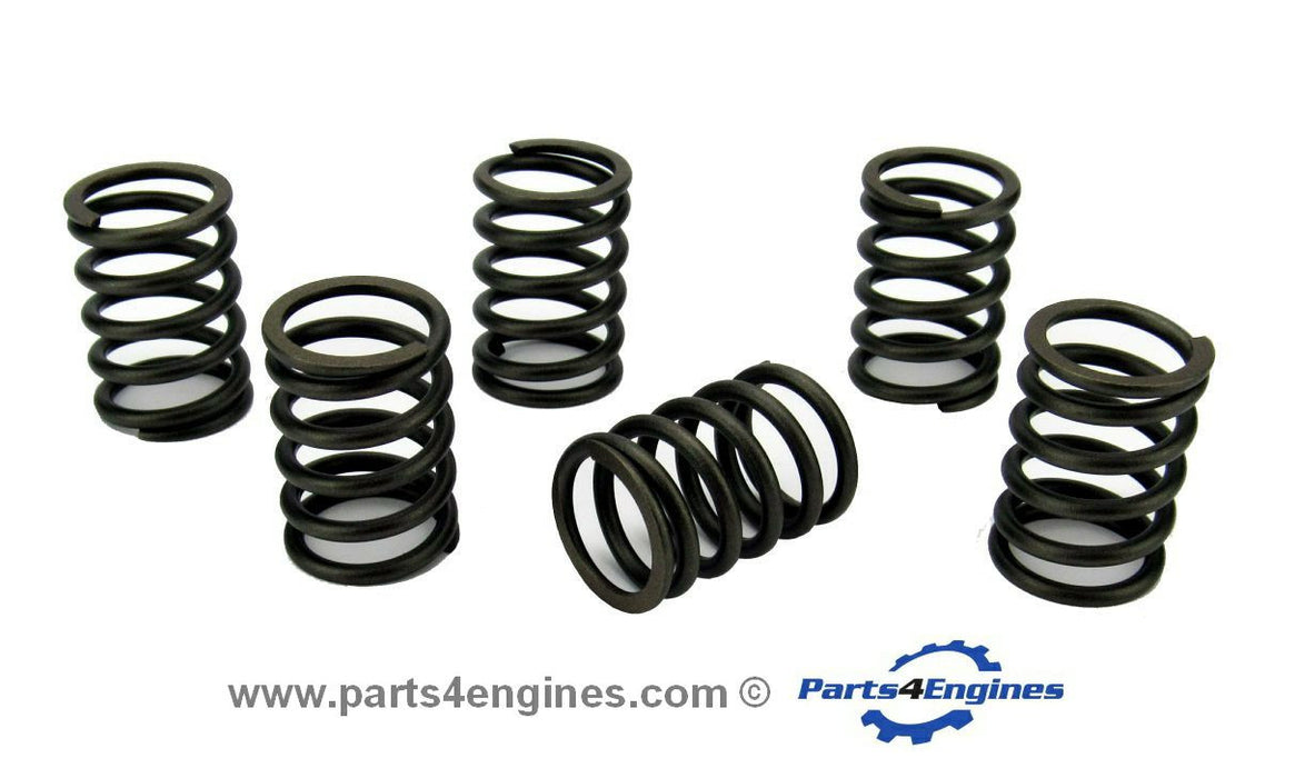 Volvo Penta D1-20 Valve Spring set - parts4engines.com