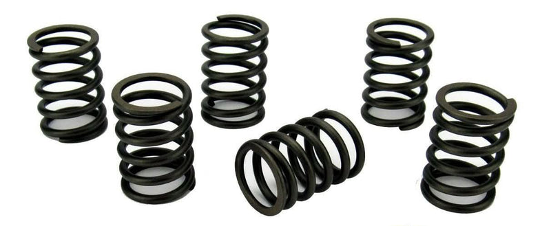 Volvo Penta MD2030 Valve Spring set - parts4engines.com