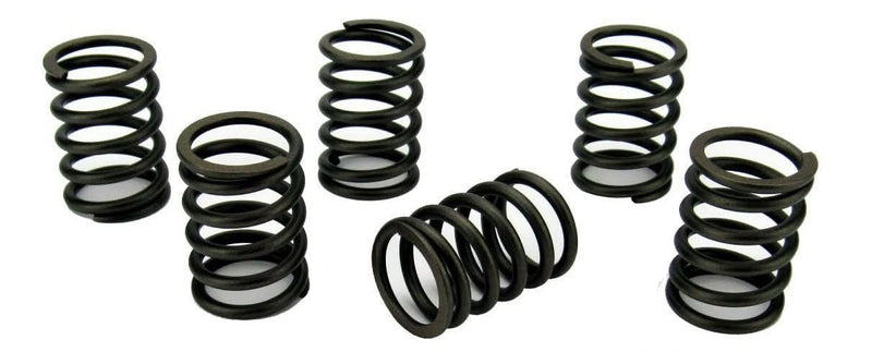 Perkins Perama M30 valve springs - parts4engines.com