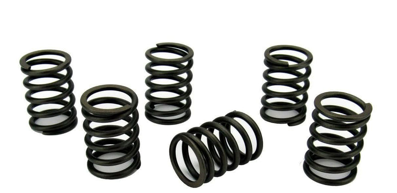 Volvo Penta MD2020 Valve Spring set - parts4engines.com