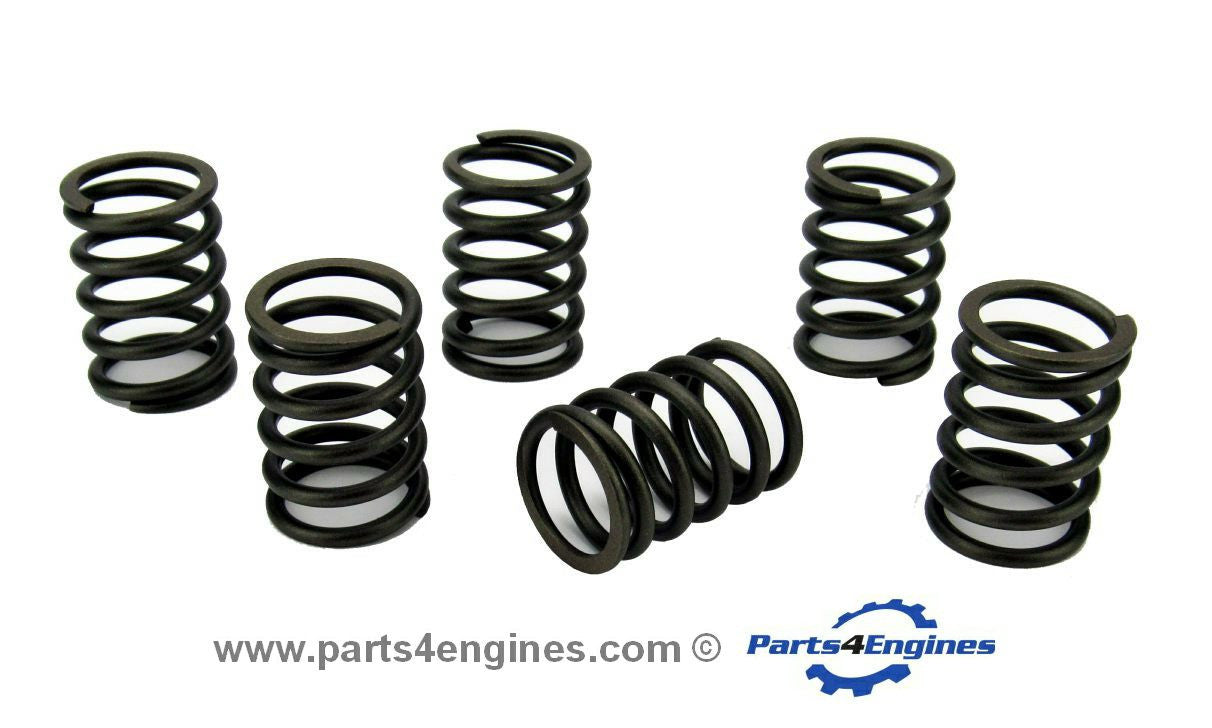 Valve Spring Set