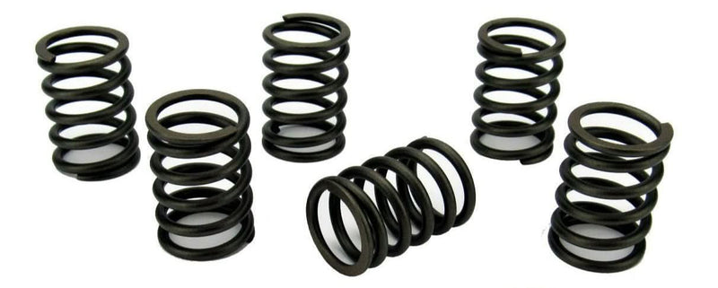 Volvo Penta D1-30 Valve Spring set - parts4engines.com