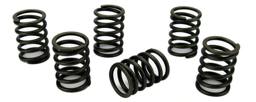Volvo Penta D1-30 Valve Spring set - parts4engines.com