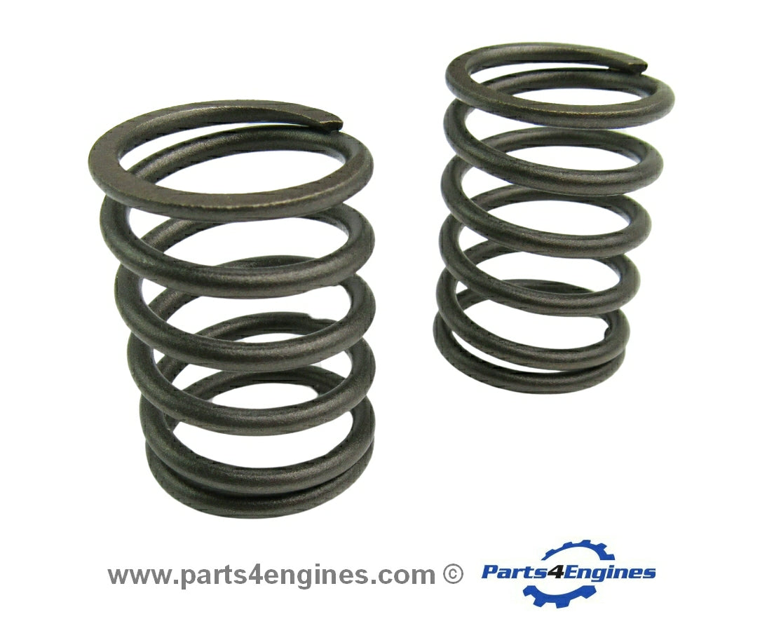 Valve Spring