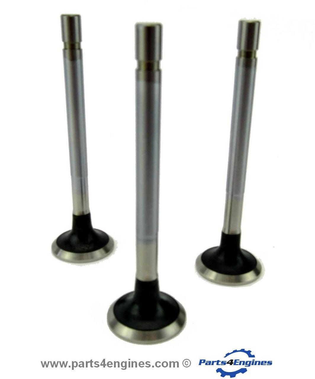 Exhaust Valve Set