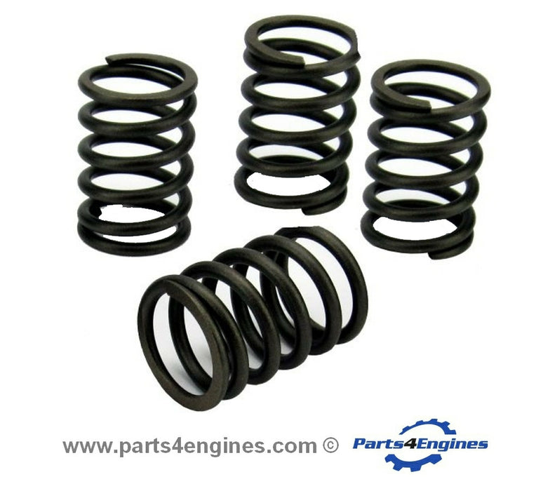 Volvo Penta MD2010 Valve Spring set - parts4engines.com