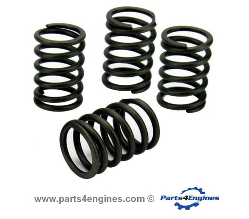 Volvo Penta D1-13 Valve Spring set - parts4engines.com