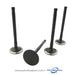 Perkins 1100D Series Exhaust valve set, from parts4engines.com