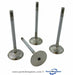 Perkins 704.30 & M65 Exhaust valve set, from parts4engines.com