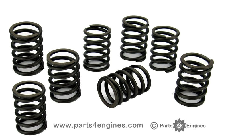 Perkins 100 Series Valve Spring Set (U98217470)