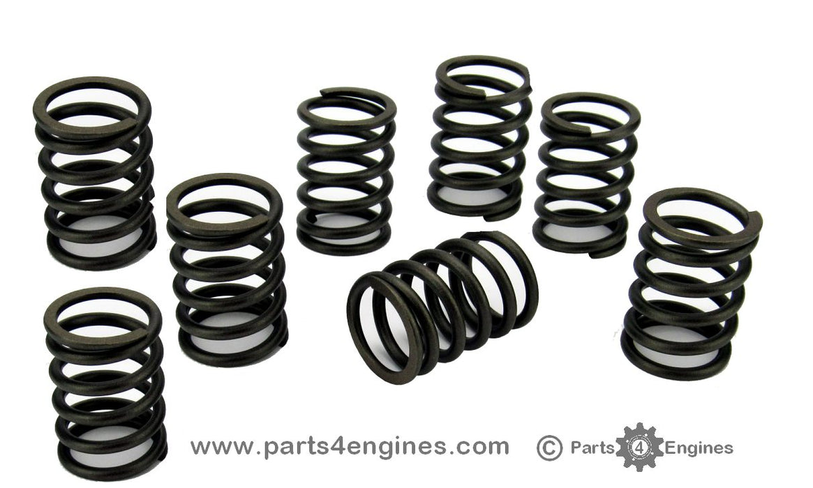 Perkins 100 Series Valve Spring Set