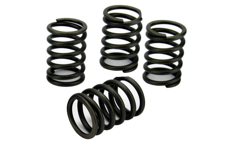 Perkins 100 Series Valve Spring Set (U98217470)