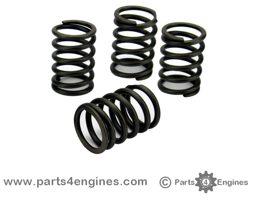 Perkins 100 Series Valve Spring Set