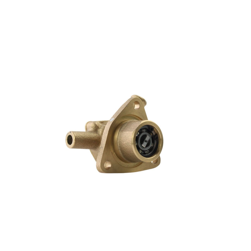 Pompa per acqua grezza Yanmar 1GM e 1GM10