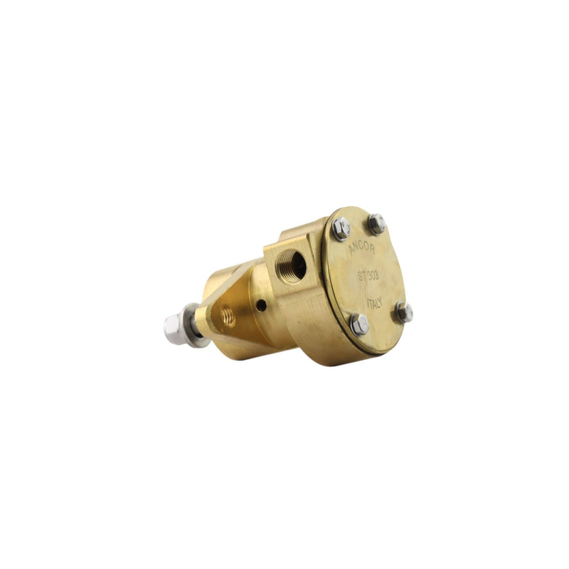 Pompa per acqua grezza Yanmar 2GM20