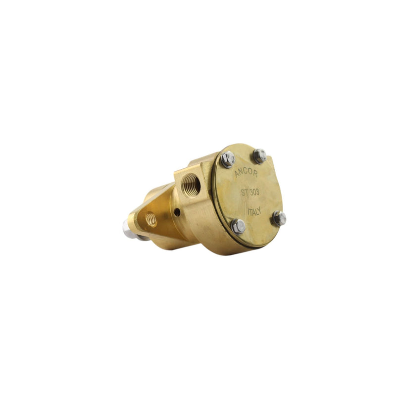 Pompa per acqua grezza Yanmar 3GM