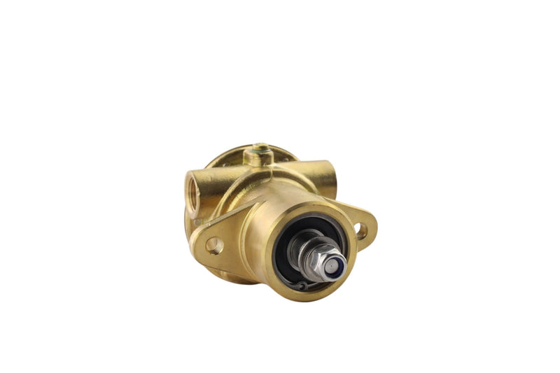 Pompa per acqua grezza Yanmar 2GM20F