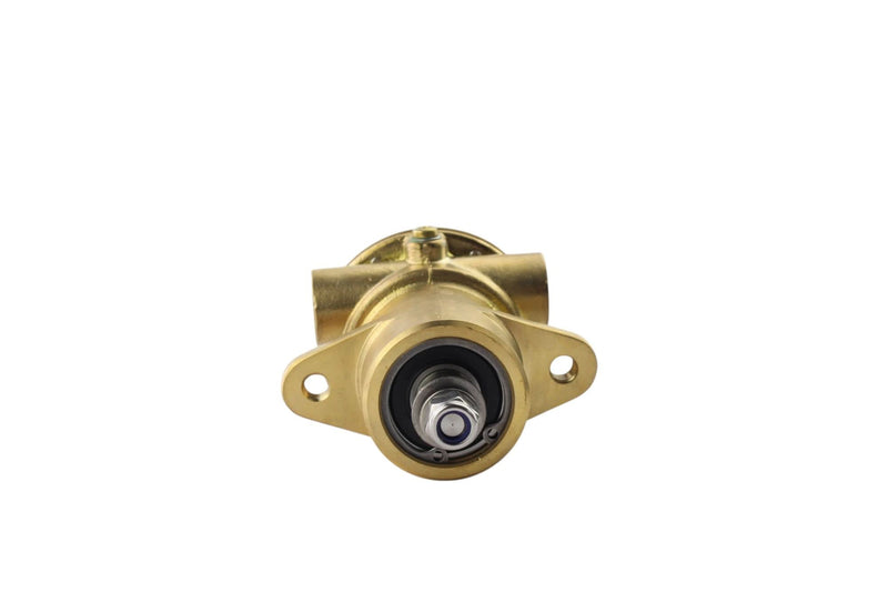 Pompa per acqua grezza Yanmar 3HM35