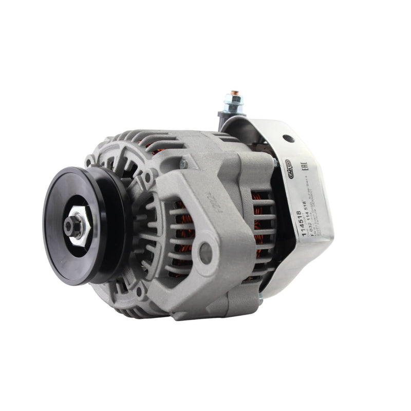 Yanmar 3YM30R und 3YM27 12 V, 55 Ampere Lichtmaschine