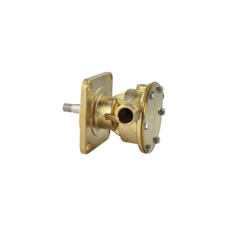 Bomba de agua bruta Perkins M35