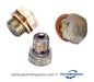 Delphi Blanking Plug Kit for Filter Assembly, from parts4engines.com