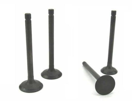 Perkins 100 series Valve set - parts4engines.com