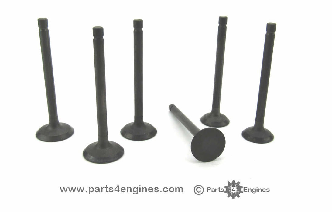 Perkins M25  cylinder head valve set - parts4engines.com