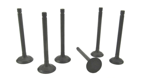 Perkins 100 series Valve set - parts4engines.com