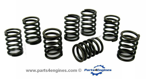 Perkins Perama MC42 valve springs set - parts4engines.com