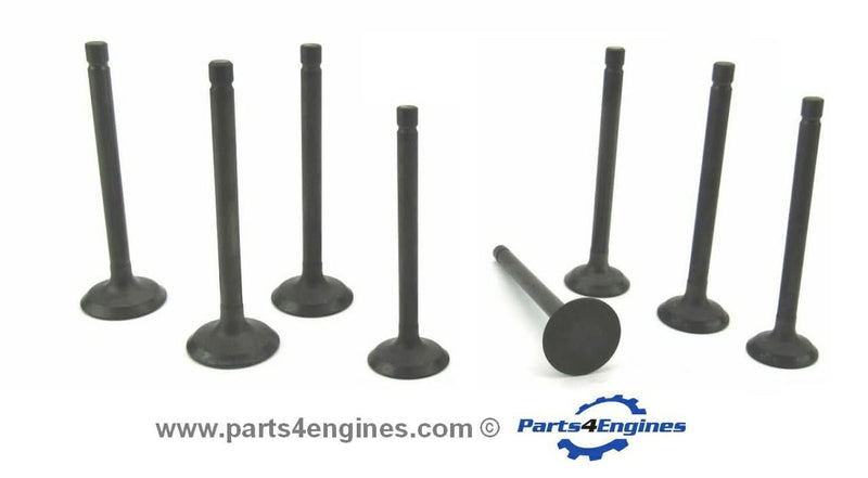 Set valvole testata Perkins 422GM